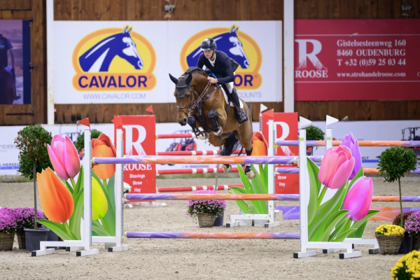 Image de cheval