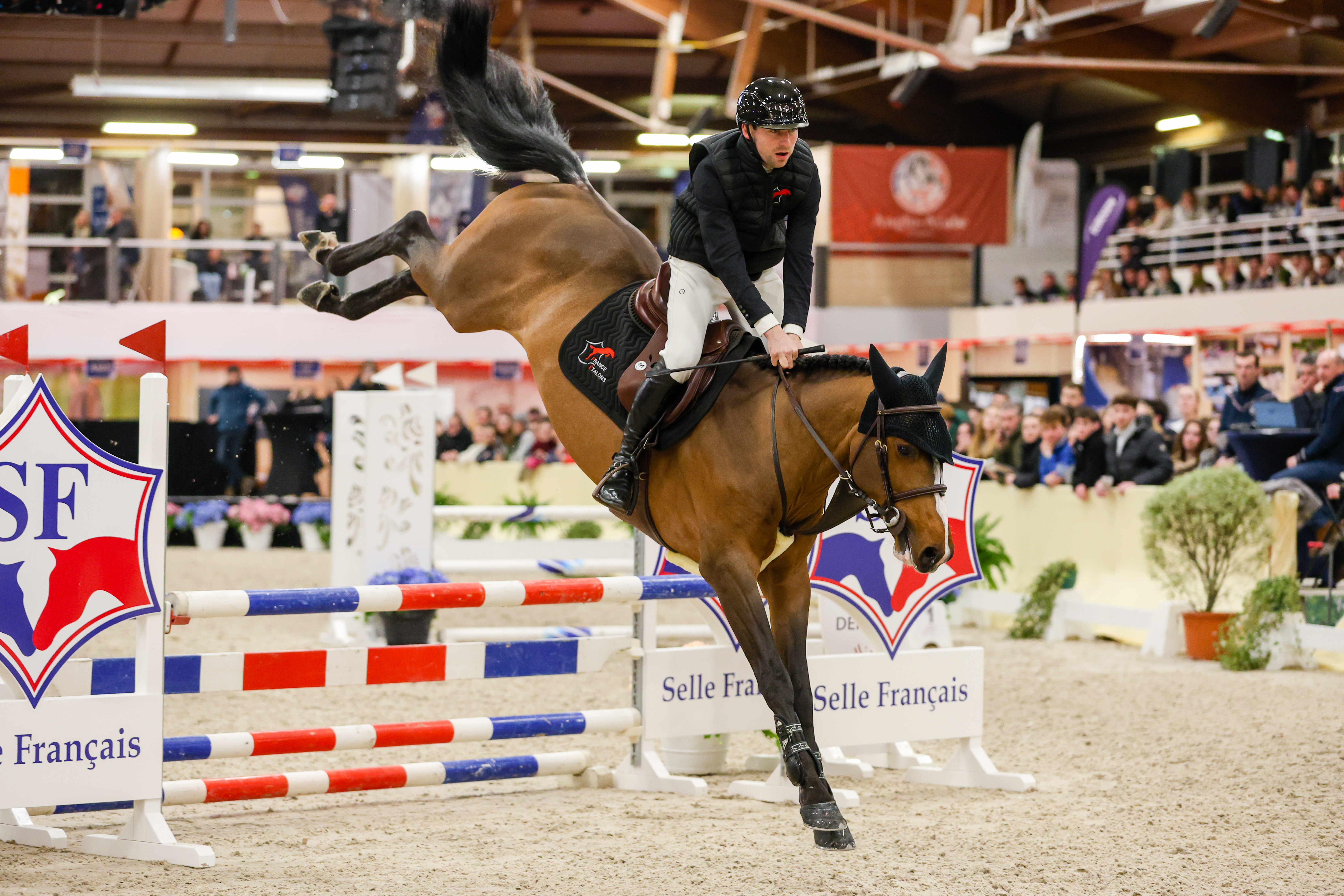 Image de cheval