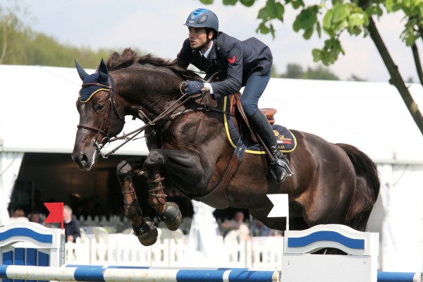 Horse picture