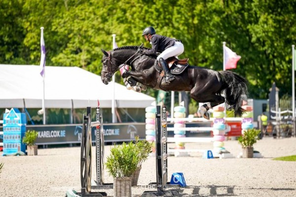 Image de cheval