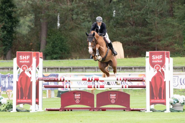 Image de cheval