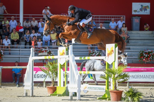 Image de cheval