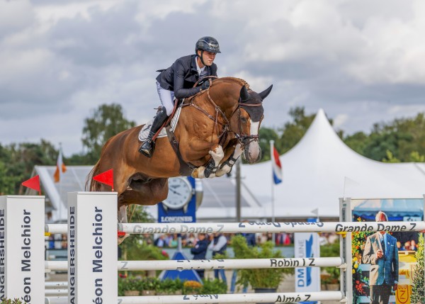 Horse picture