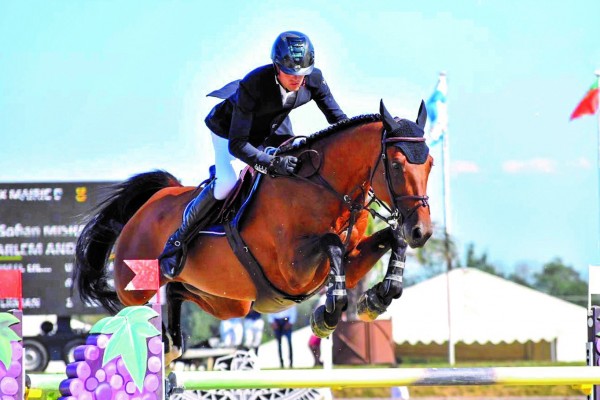 Horse picture