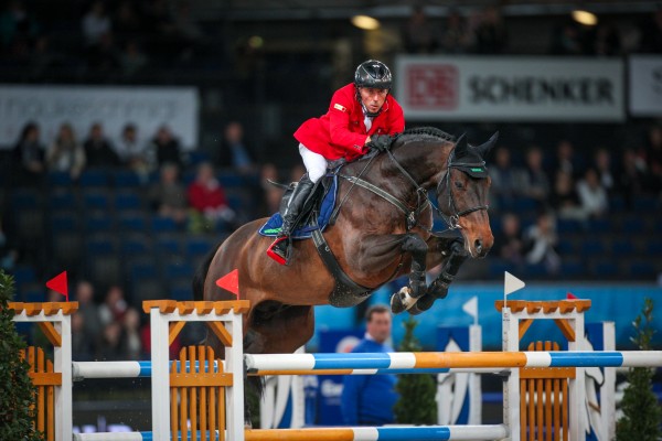 Horse picture
