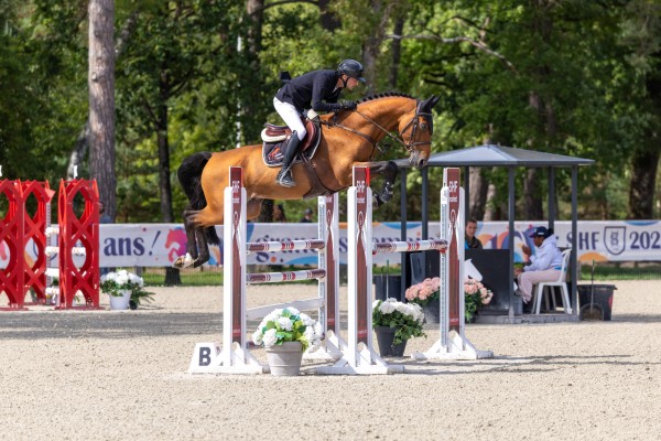 Image de cheval