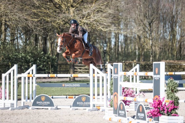 Image de cheval