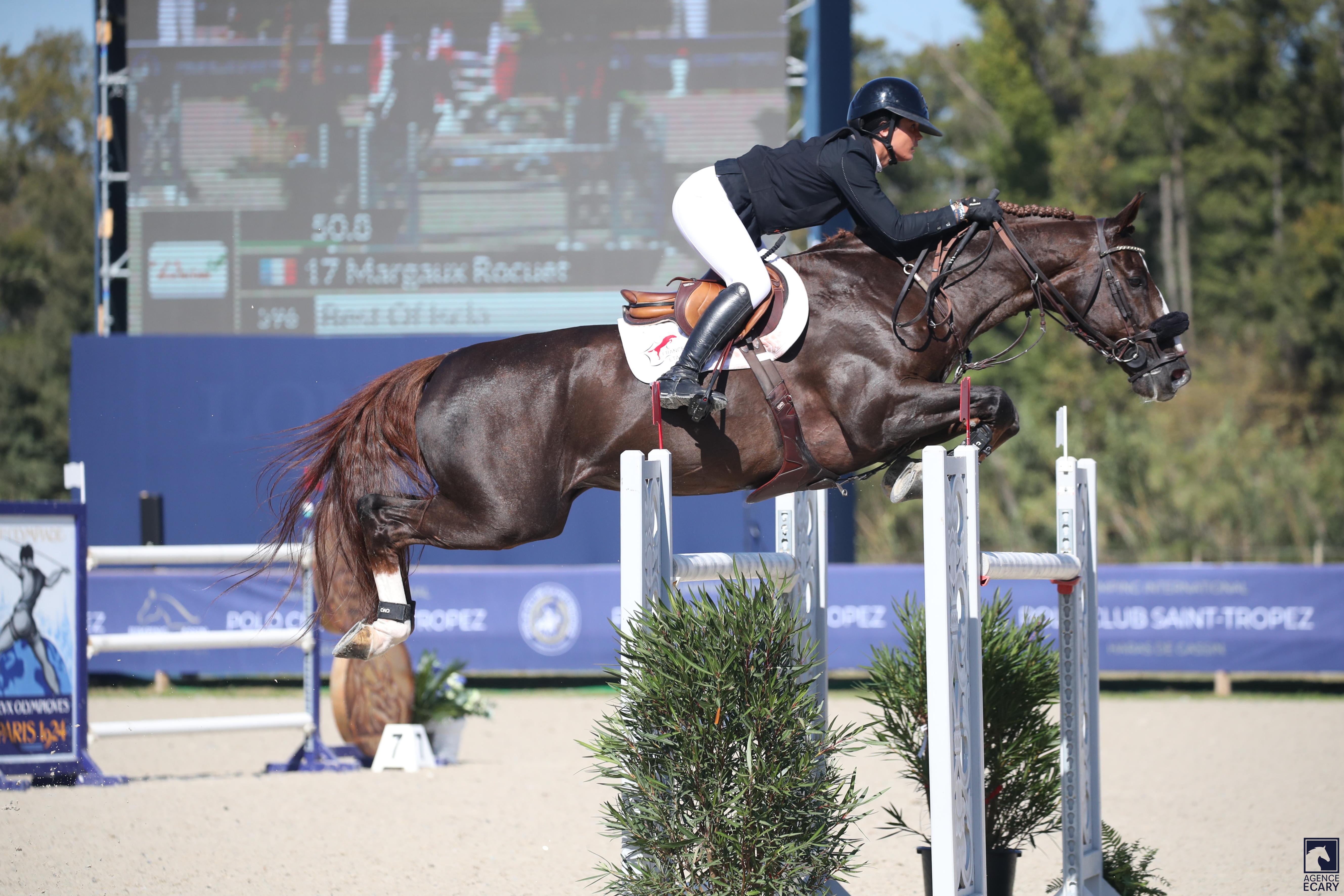 Image de cheval