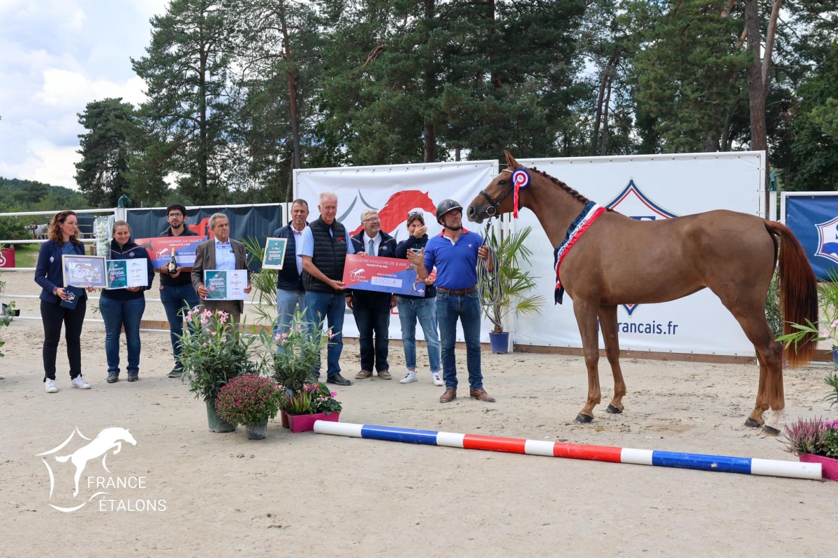 L'ABSOLUE DE L'O _ Pegase x Conrad