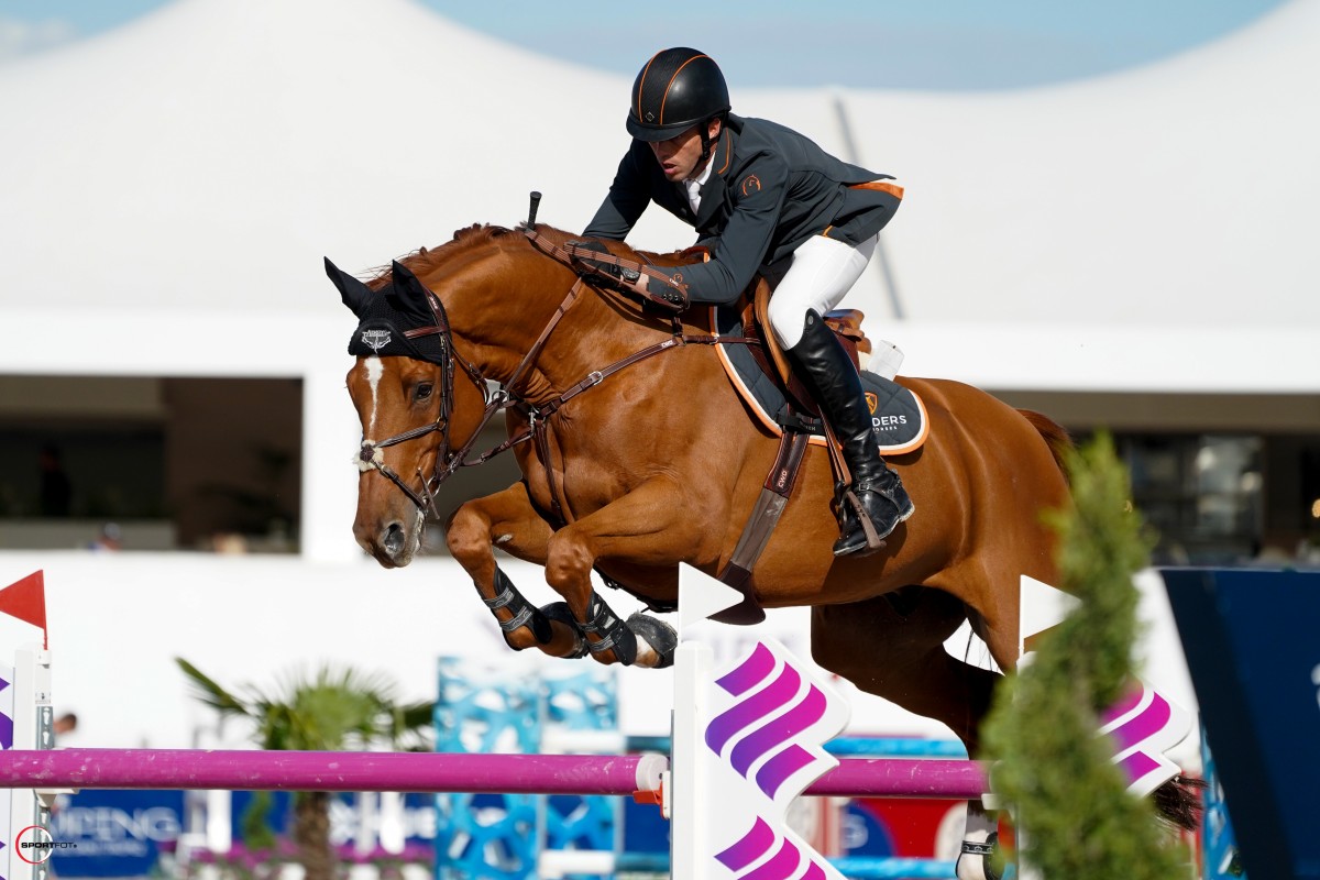 BINGO DU PARC - MYLORD CARTHAGO X TSIGANE SEMILLY (DIAMANT DE SEMILLY)