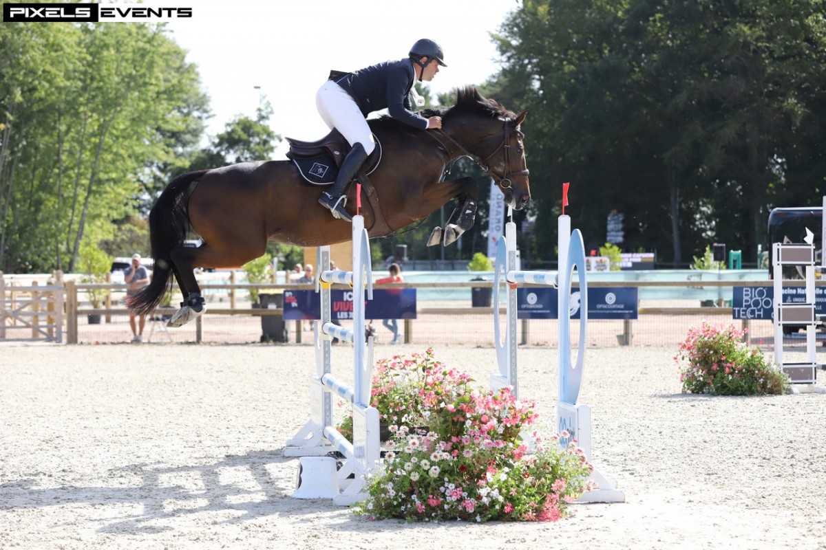 COPENHAGUE VILLA ROSE