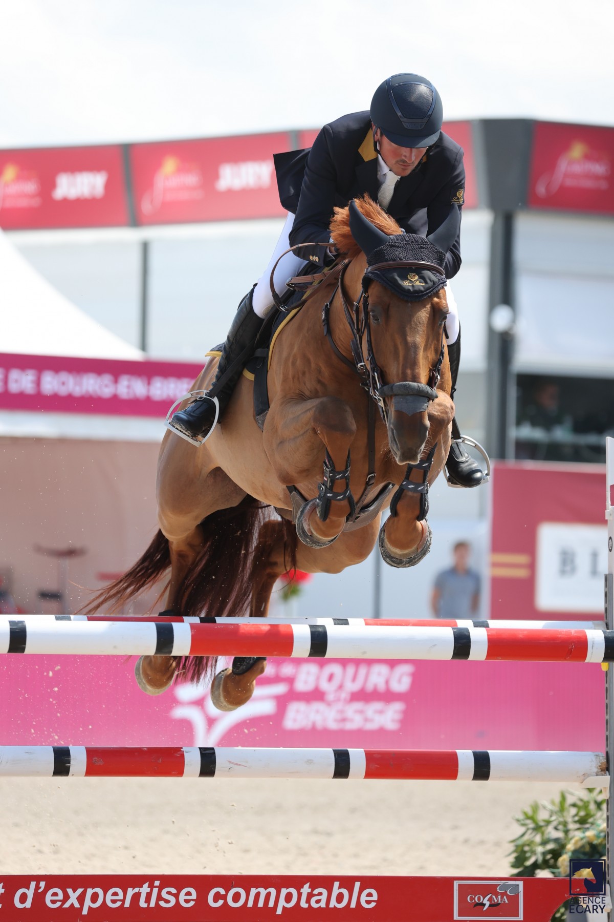 DENVER DE TALMA (VIGO CECE x CANTURO)