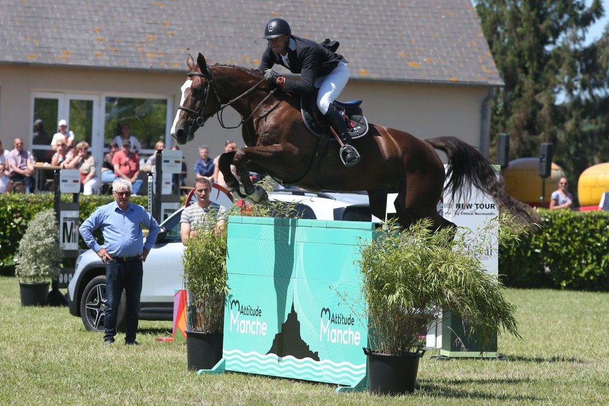 CHIPIE CHARBONIERE - PADOCK DU PLESSIS X ODE DE LA CHARBONIERE (PAPILLON ROUGE)