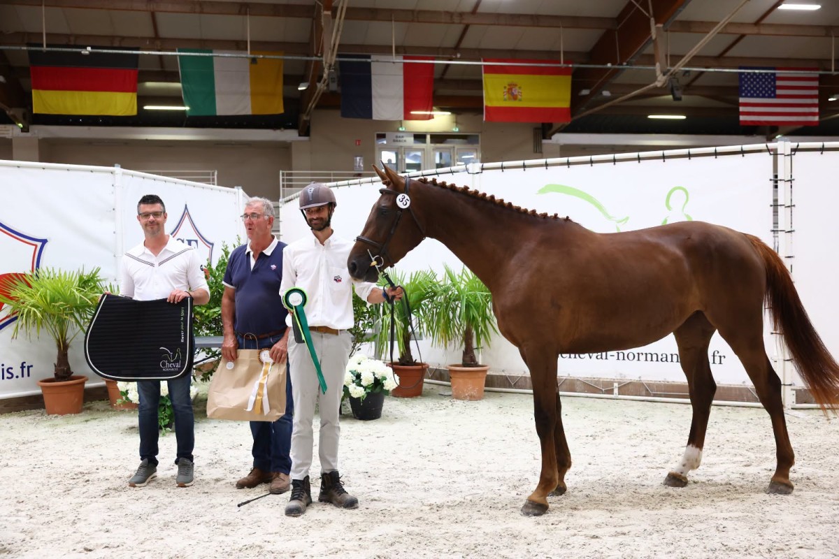Night Fever du Mont (Junior du Seigneur x Panama Tame)
