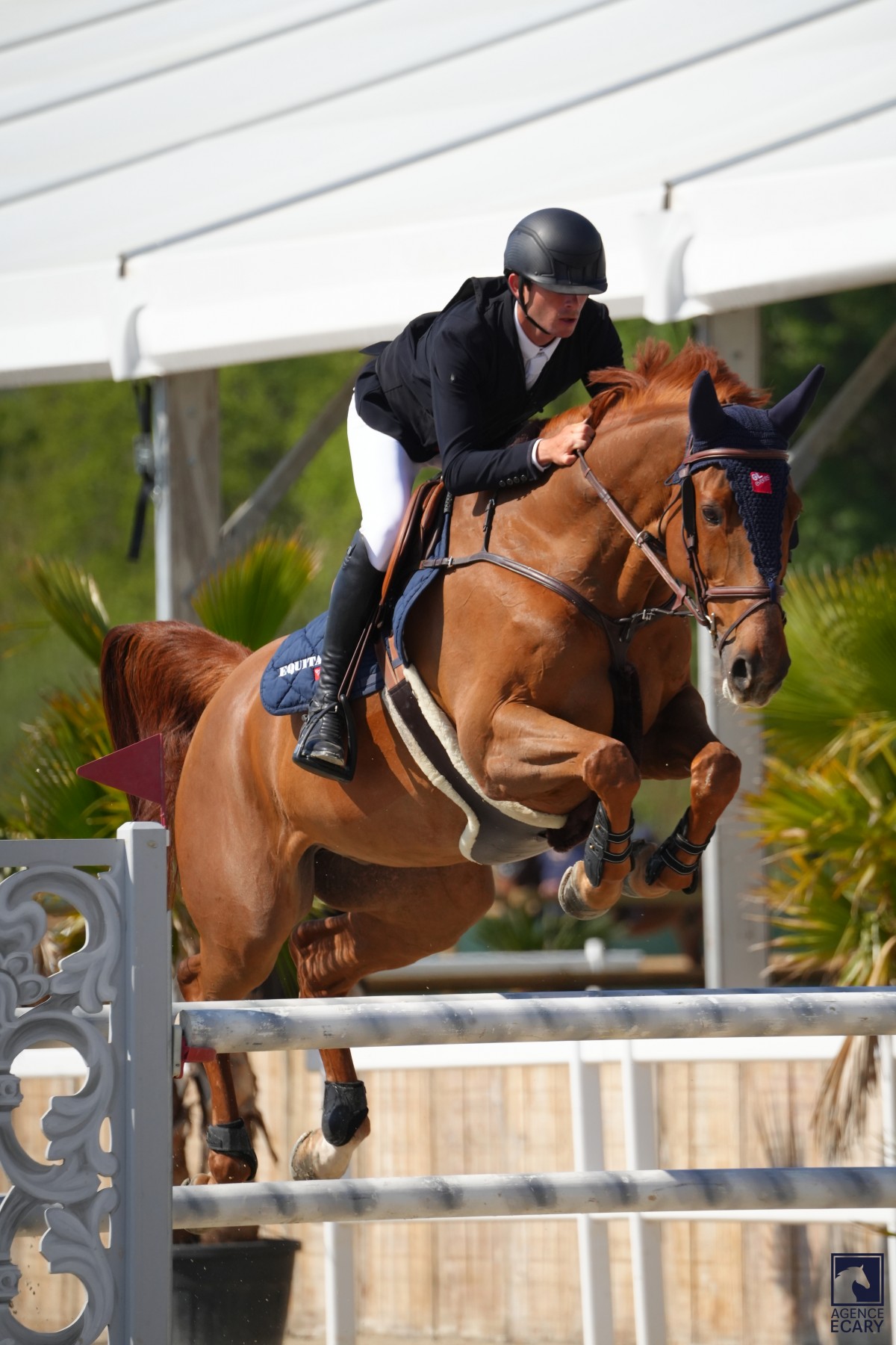 FLOYD DES PRES (VIGO CECE x PAPILLON ROUGE)