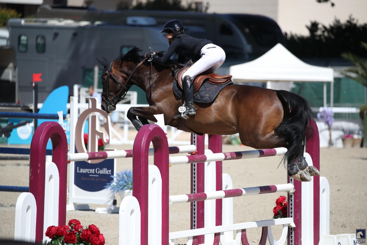 Hello Boy de Reville