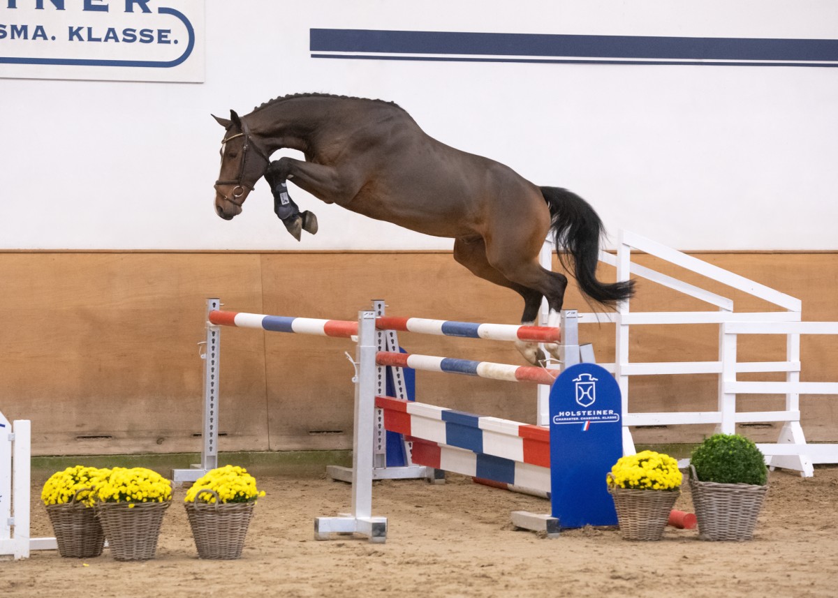 MITCHELL - Million Dollar x Uriko