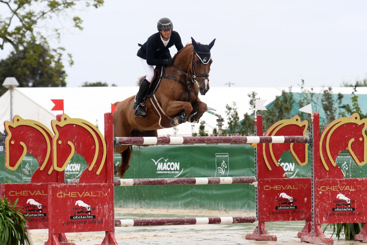 CAPRICE DE GUINFARD - MYLORD CARTHAGO X INES DE GUINFARD (SOCRATE DE CHIVRE)