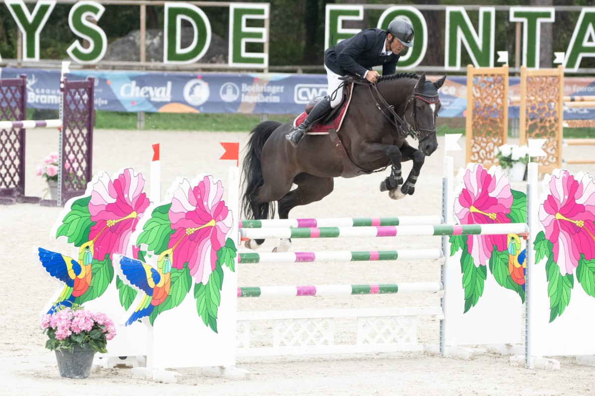 JULIANA DE CHAMPLOUE (Casall x Diamant de Semilly)
