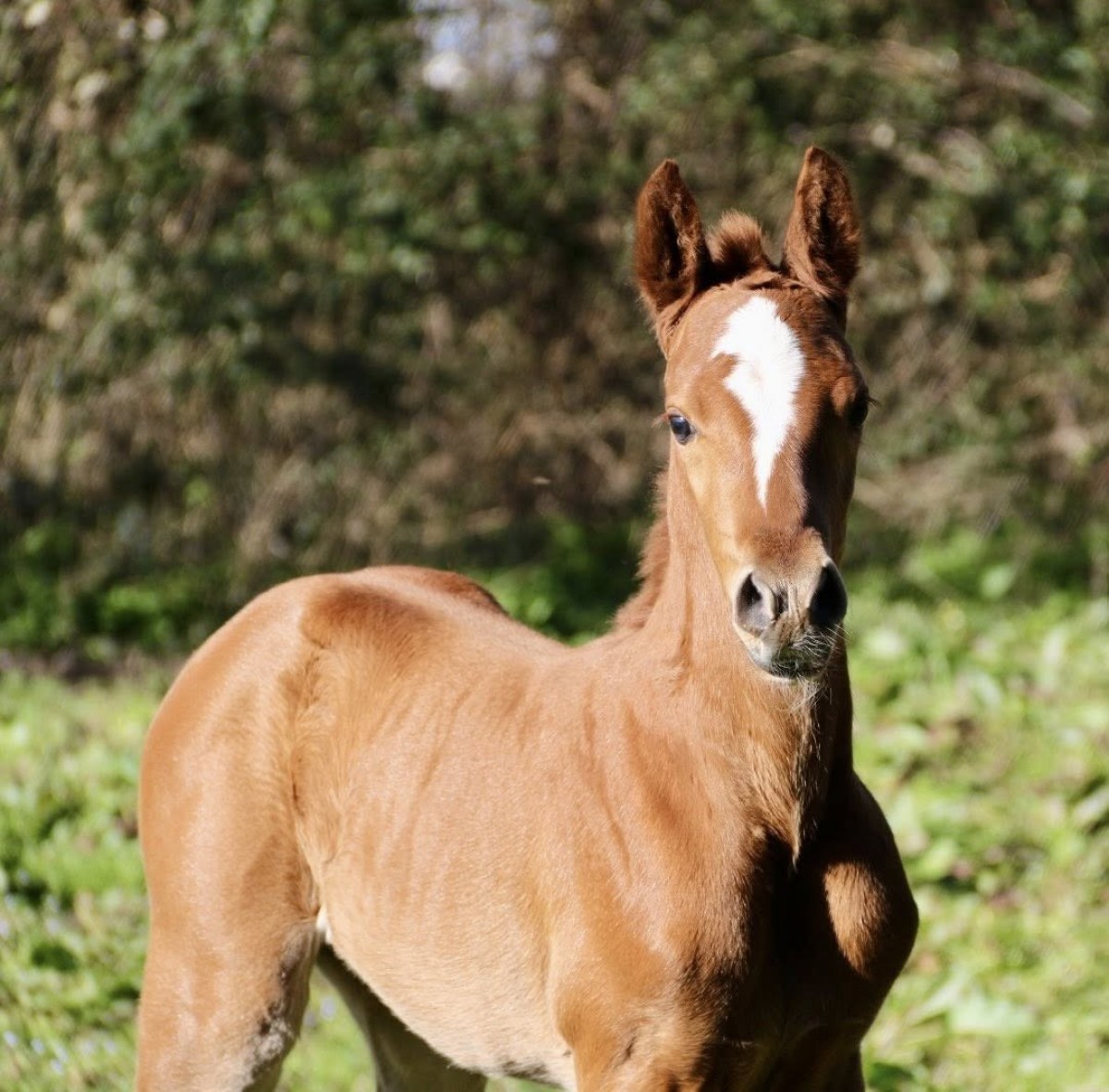 LOVEUR DE STARTUP x POTTER DU MANAOU