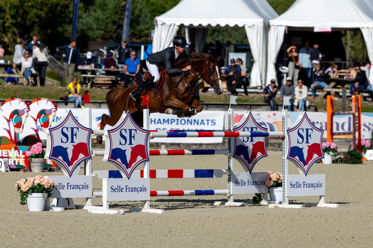 TAJMAHAL DU HOULBEC par TANGELO