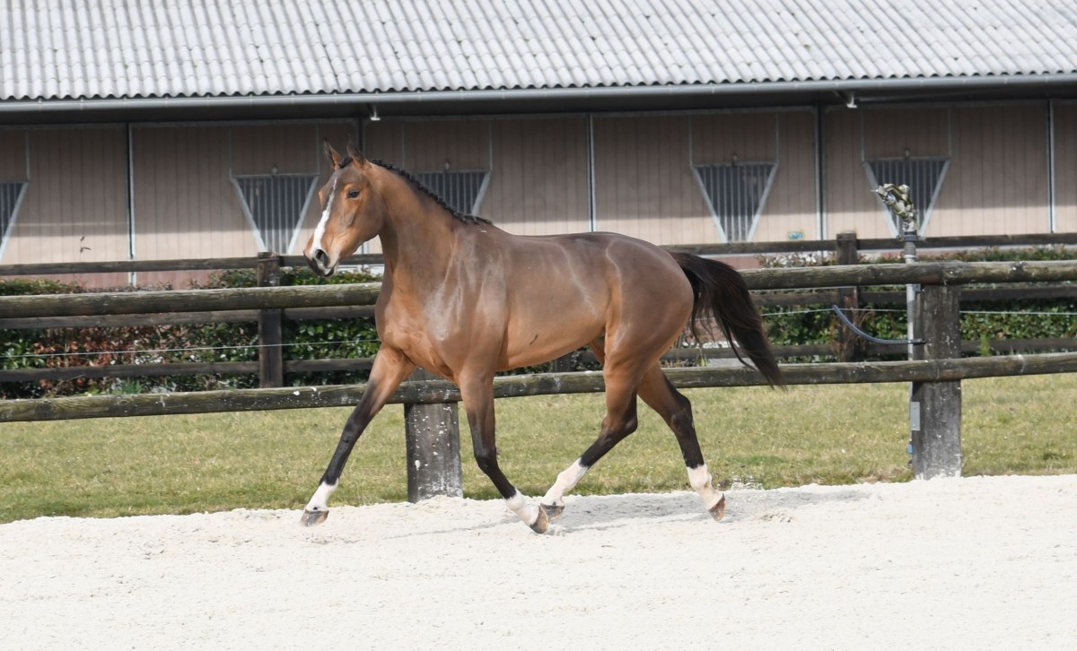 Jalanda de Riverland - Quatro x Kannan