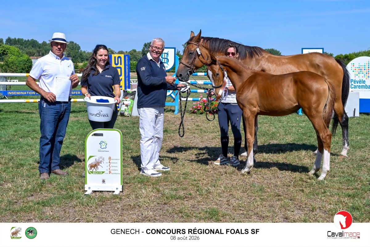 QAMANDA DU MADRAS (Hileklaire x Diamant de Semilly)