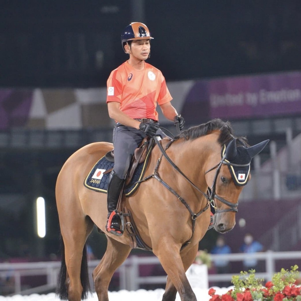 TALMA D'ALLOU - OPIUM DE TALMA X BELLE DE L'ETANG (PRINCE IG'OR) - France Etalons