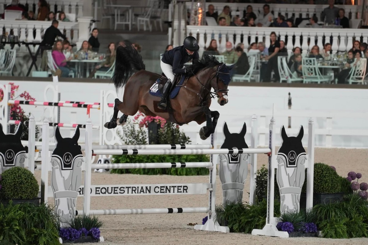 CESAR DE B'NEVILLE - READY BOY DES FORETS X SONATE DE B'NEVILLE (QREDO DE PAULSTRA)