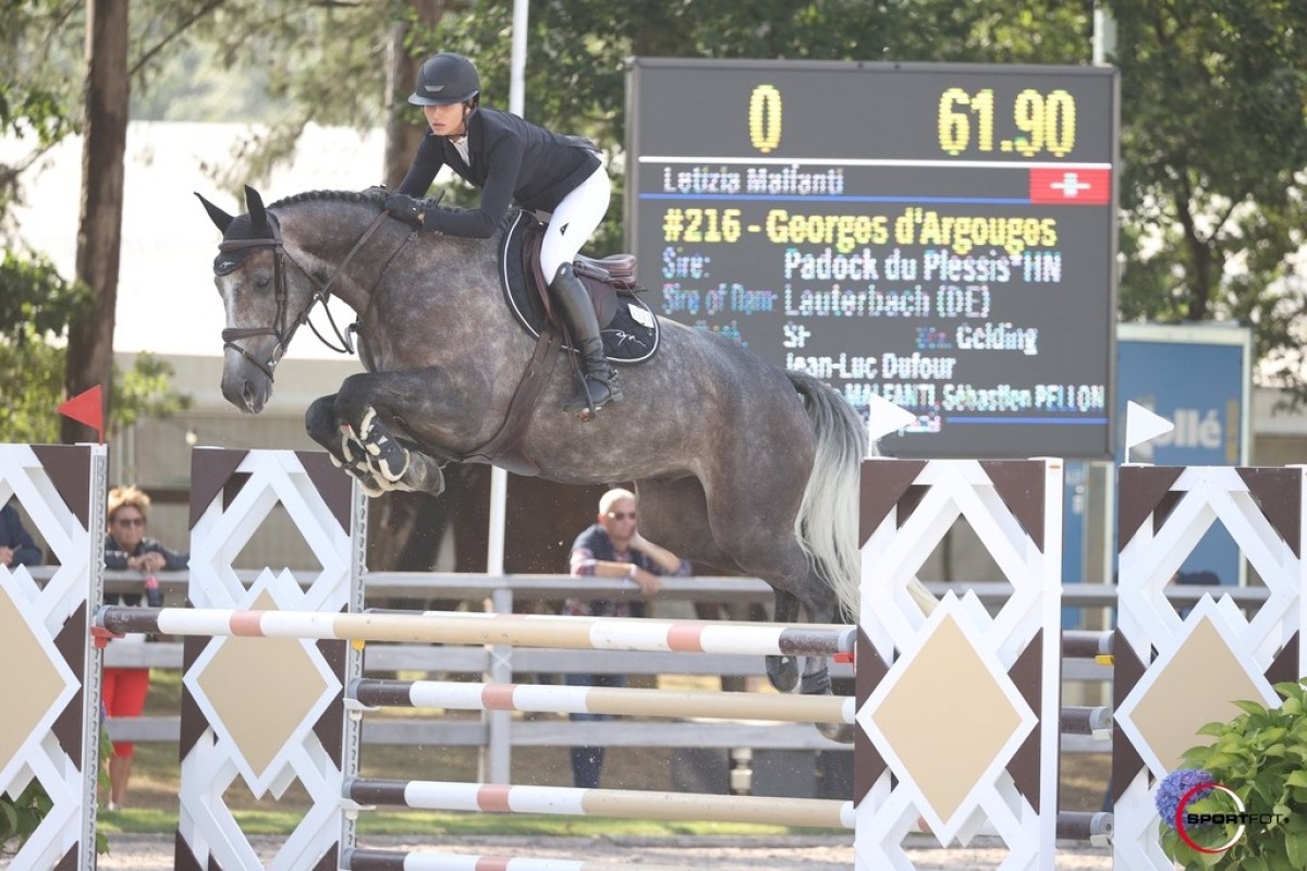 GEORGE D'ARGOUGES LANAKEN - PADOCK DU PLESSIS X ADRIANA D'ARGOUGES (LAUTERBACH)