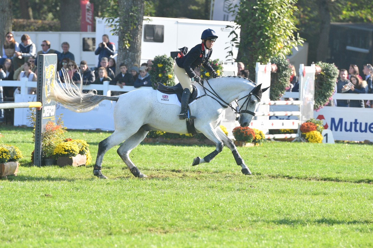 CRISTAL'FONTAINE - CHEF ROUGE X NOUS AVONS GAGNE (GRIOT DE MARA) - France Etalons