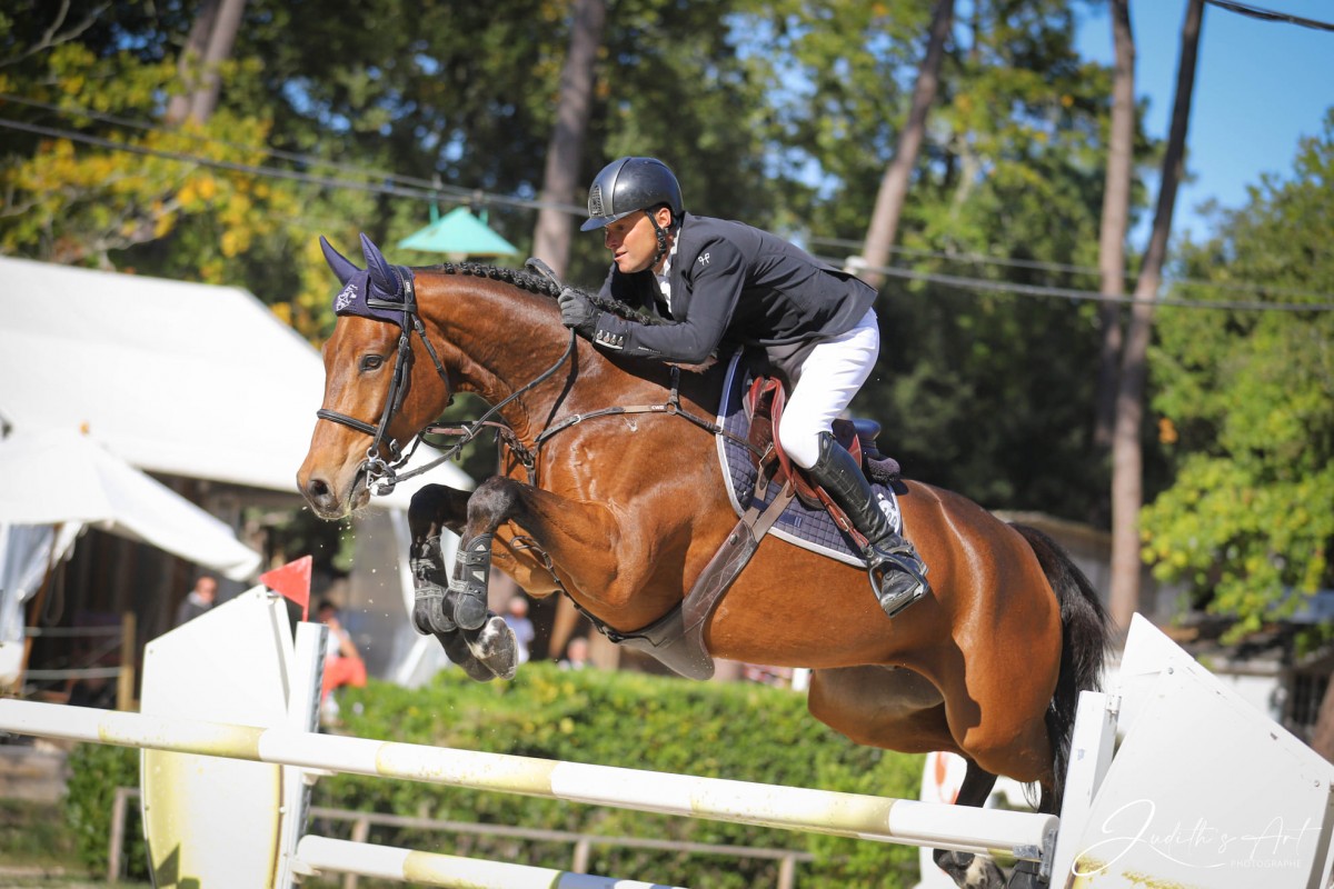 CALIGANO JORTHONNE - SAFARI D'AUGE X GIGI DU FAVRIL (BERYL DE LA LANDE)