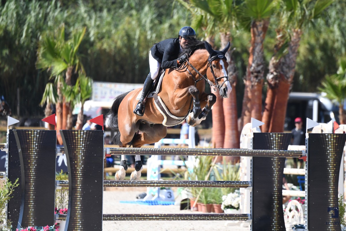 IGINS DU SEIGNEUR - INSHALLAH DE MUZE X EBONY DU SEIGNEUR (OGANO SITTE)