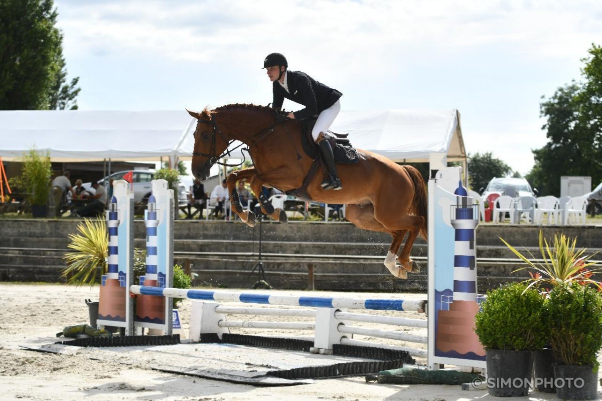 ISPAHON DES ROSIERS - KAPITOL D'ARGONNE X VERA (ODERMUS R) - France Etalons