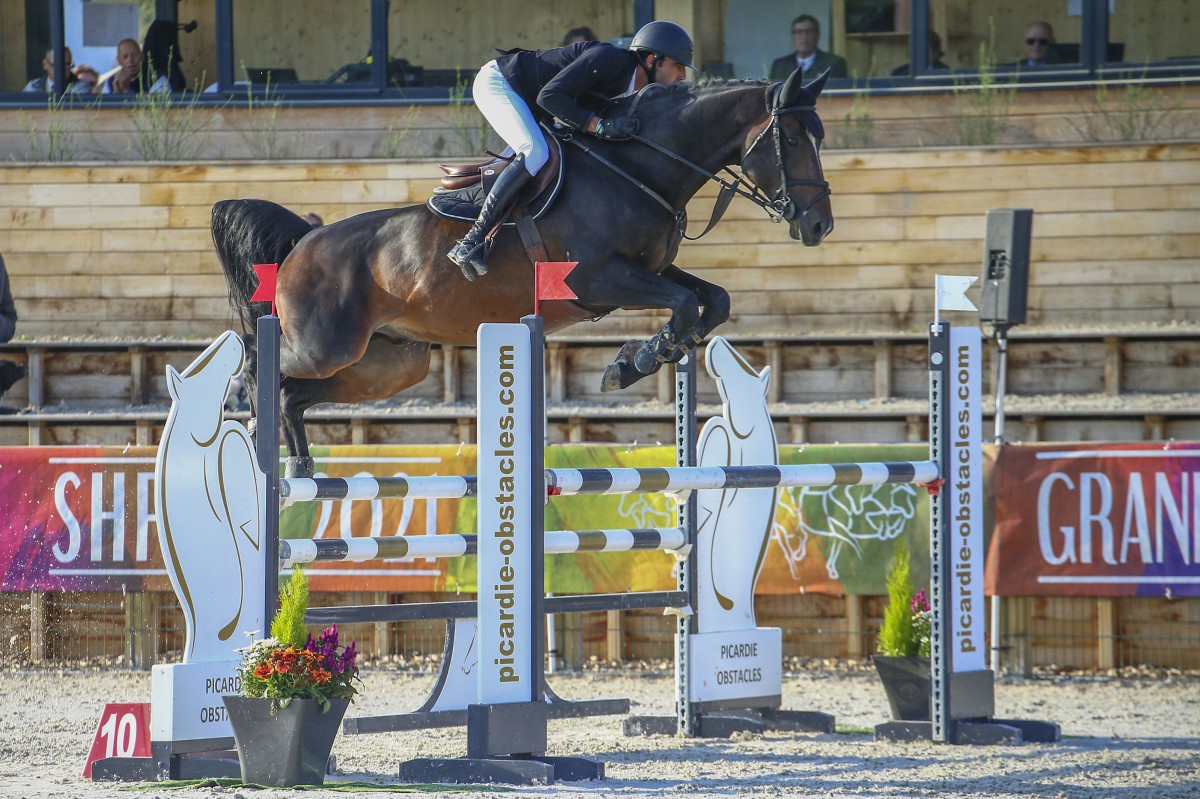 GENIAL DE B'NEVILLE - KAPITOL D'ARGONNE X NUANCE DE B'NEVILLE (TALENT PLATIERE) - France Etalons