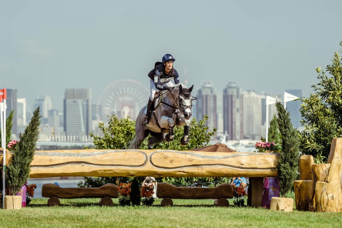 TOTEM DE BRECEY - MYLORD CARTHAGO X JESSY LANDAISE (QUOUGLOF ROUGE)