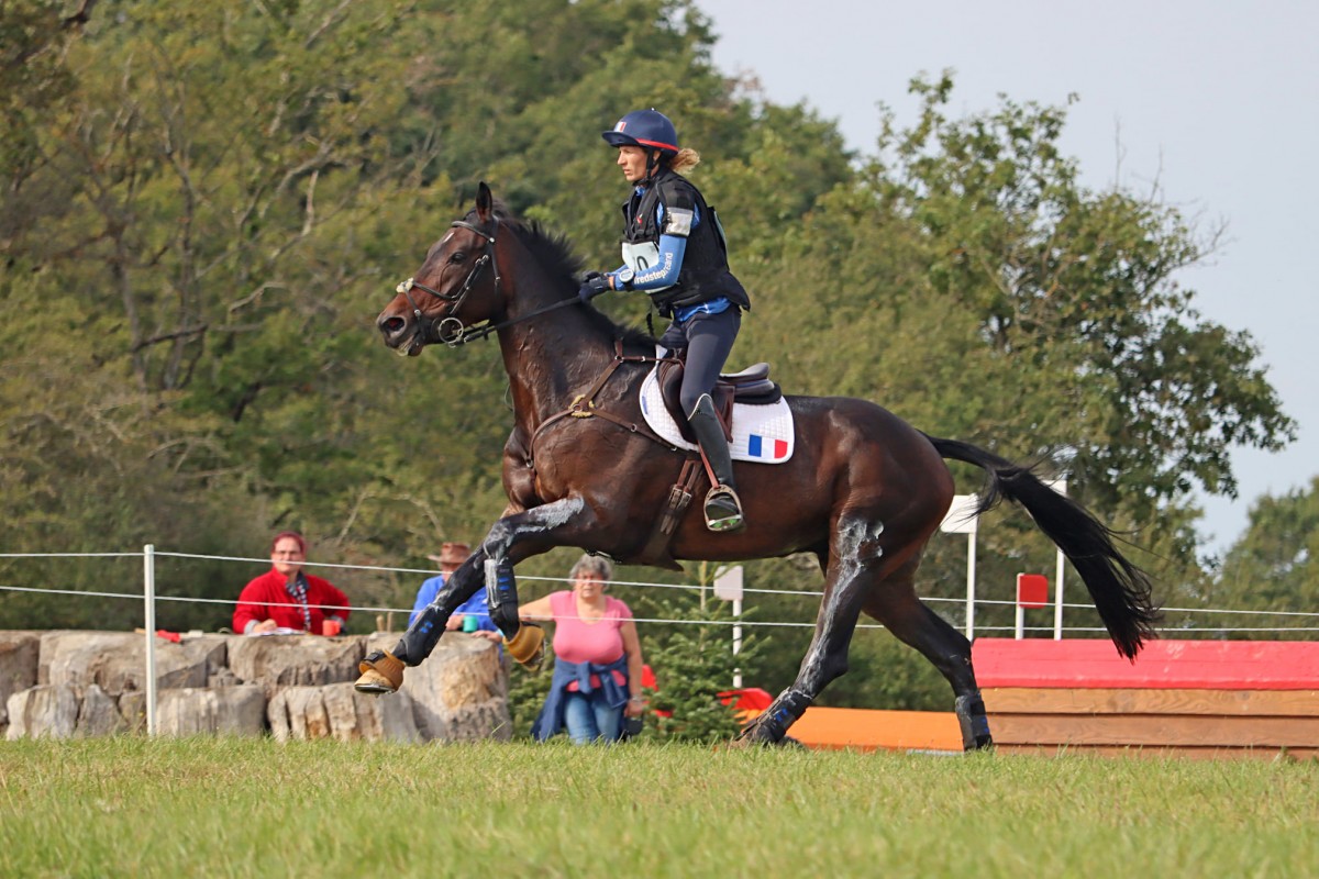 ARMANJO SEROSAH - ROMANDO DE L'ABBAYE X JOLYJO SEROSAH (SASSANIAN)