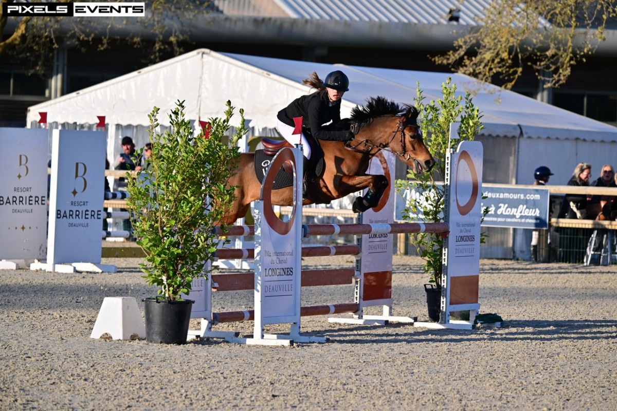 Fluttershy de la Gire