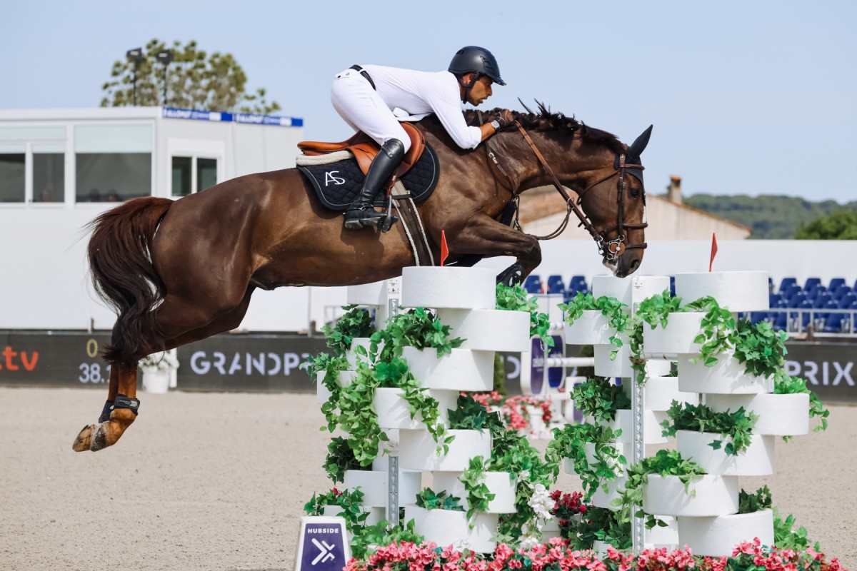 ELFY DES EQUINOXES - ROMANDO DE L'ABBAYE X MILADY DU PONTREAU (CONCORDE)