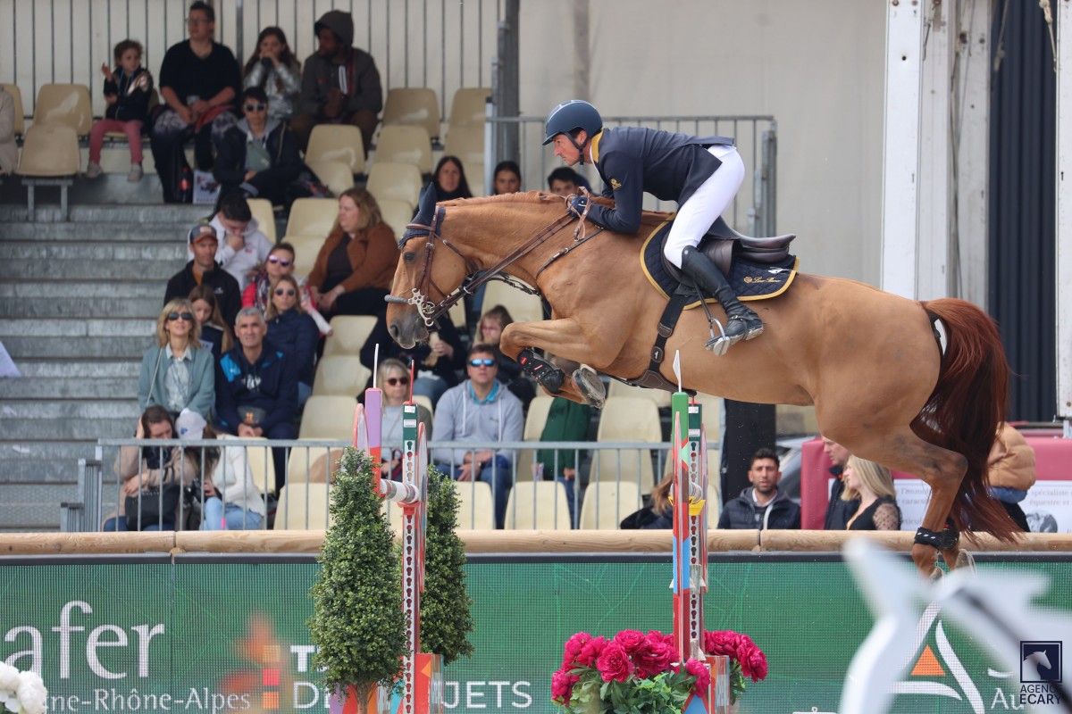 DENVER DE TALMA (VIGO CECE x CANTURO)
