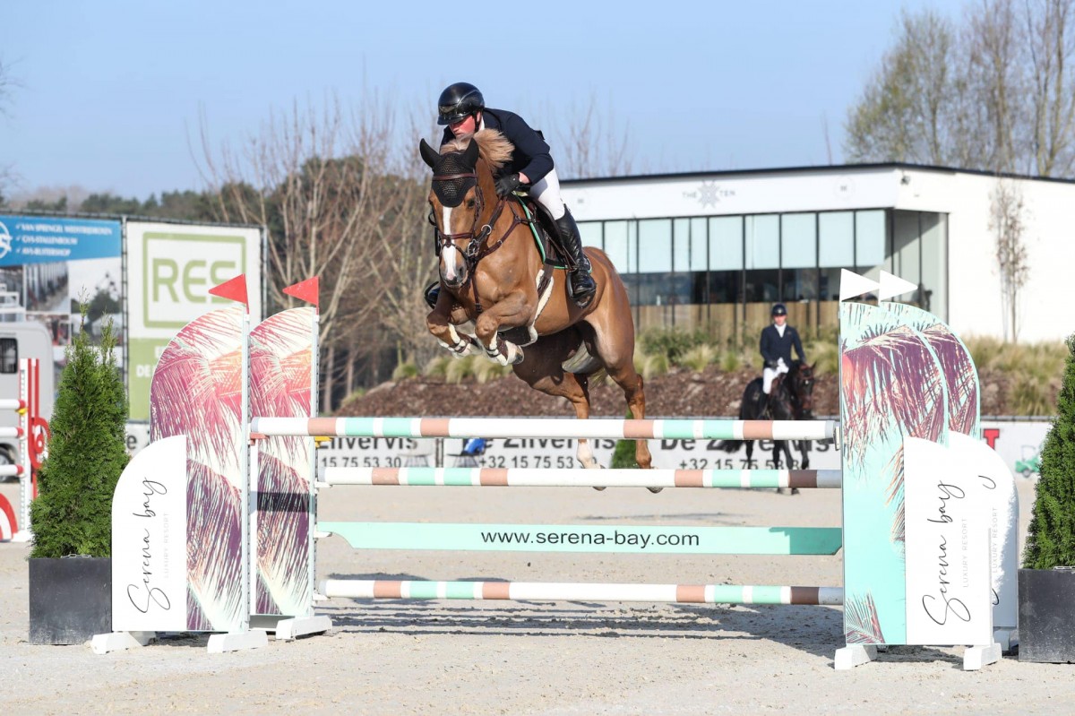 GALAXIE D'ELLIPSE - TANGELO X HERIA D'ORION (GALOUBET A)