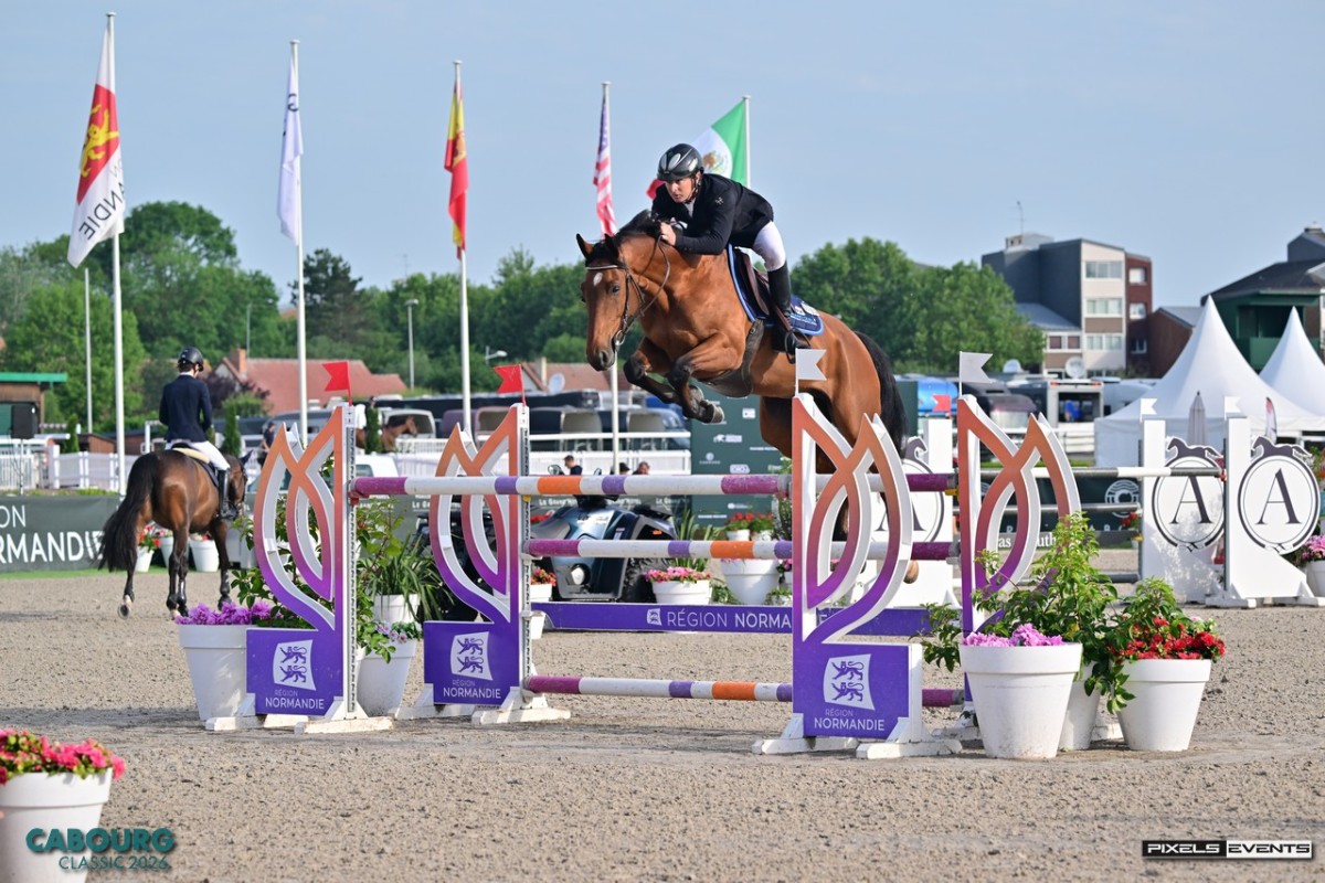 TUC VAN'T MEERHOF (Tangelo x Dokkum de Rialfo)