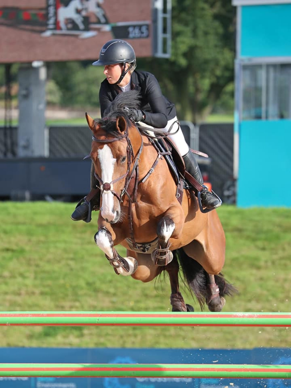 LABATT - TANGELO X ORLALYN (ORLANDO)