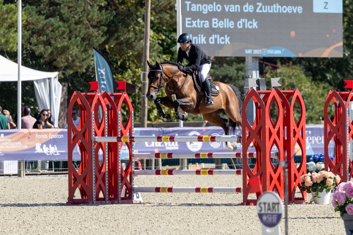 TI AMO DK par TANGELO