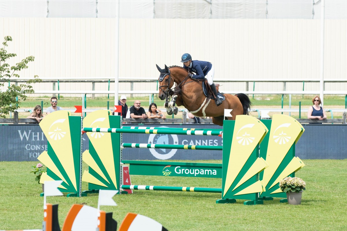 Clipper du Haut du Roy