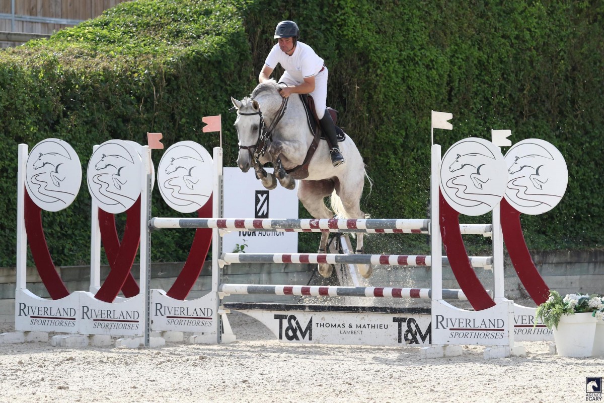 INGENUE DE ST PIERRE