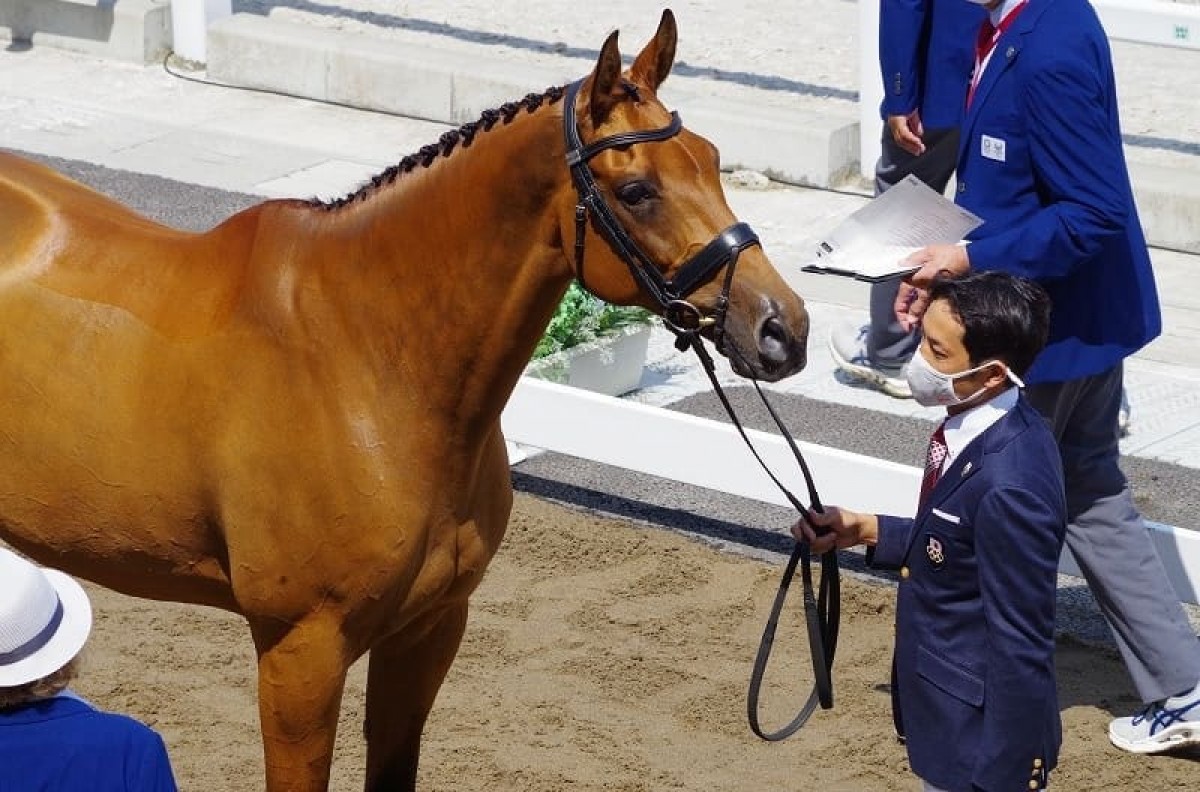 TALMA D'ALLOU - OPIUM DE TALMA X BELLE DE L'ETANG (PRINCE IG'OR) - France Etalons