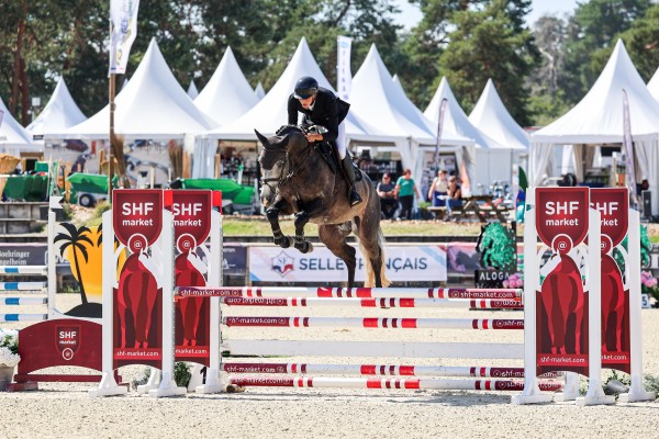 Image de cheval