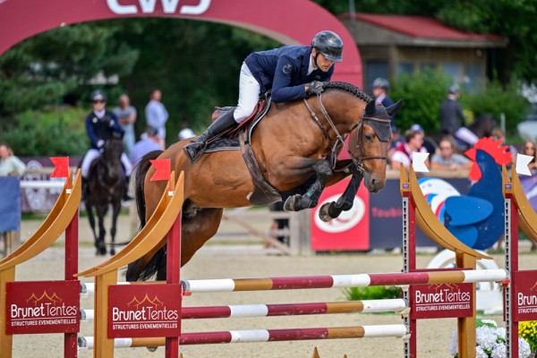 Image de cheval