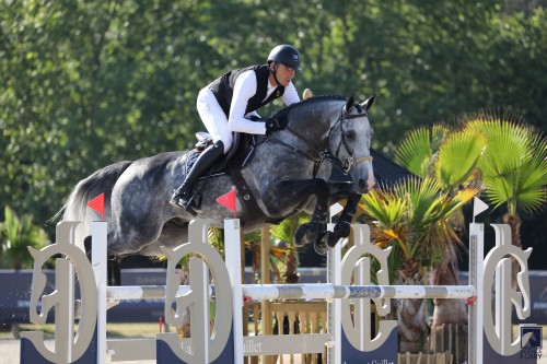 Image de cheval